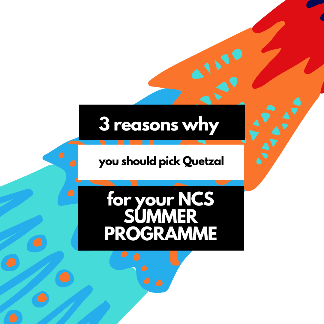 Three Reasons Why You Should Pick Quetzal for Your NCS Programme and Crush the Hush with A Brush